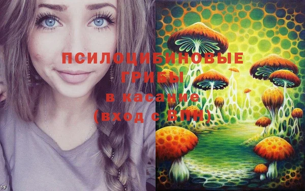 крисы Абинск