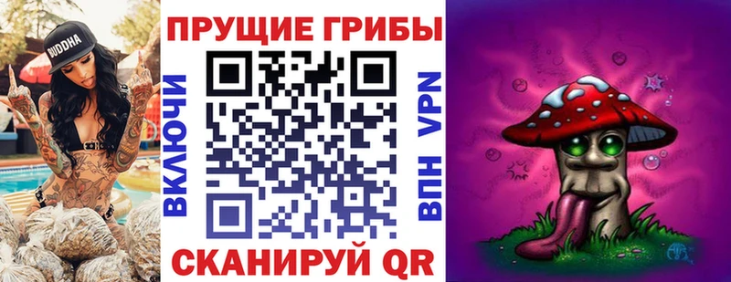 ссылка на мегу рабочий сайт  Тетюши  Псилоцибиновые грибы Cubensis 